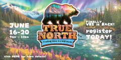 VBS 2025 webslider